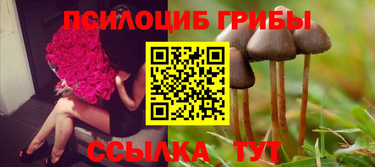 Галлюциногенные грибы Cubensis Дедовск