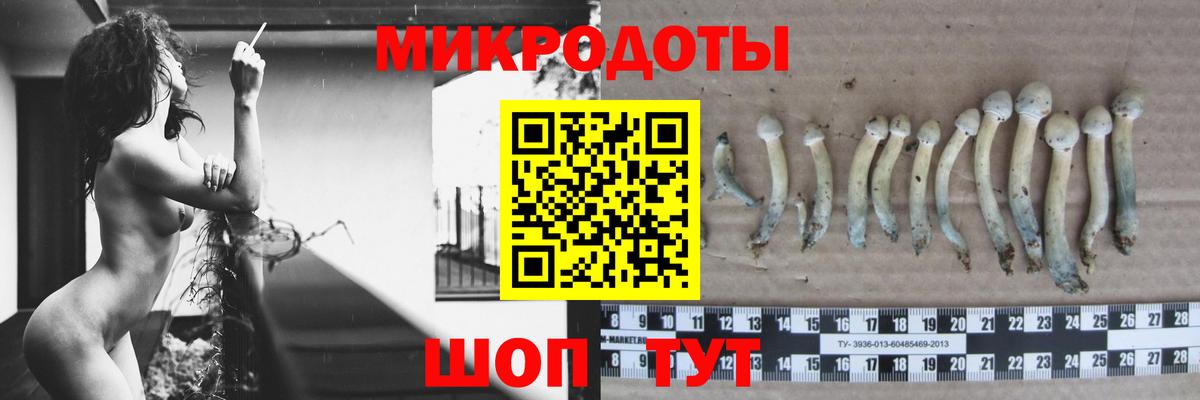 Дедовск  Галлюциногенные грибы Psilocybine cubensis  Вход с VPN 